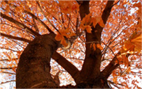 好的平台在线ddos压力测试