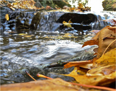 ddos攻击ip软件下载